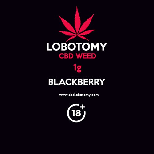 Kwiat konopi CBD BLACKBERRY 1g LOBOTOMY