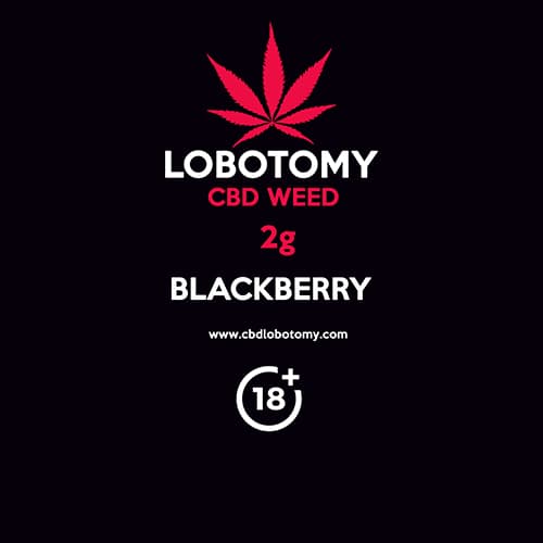 Kwiat konopi CBD BLACKBERRY 2g LOBOTOMY