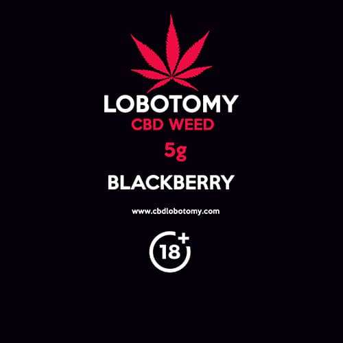 Kwiat konopi CBD BLACKBERRY 5g LOBOTOMY